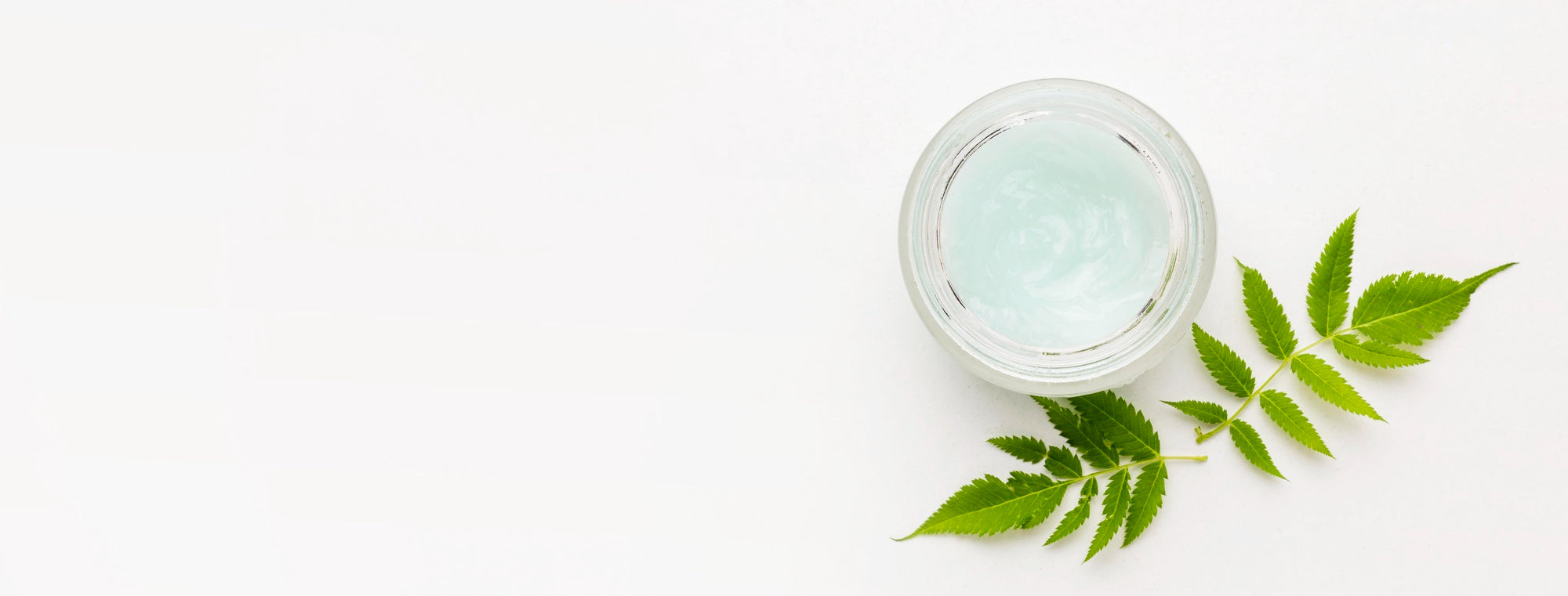 Live Your Healthiest, Happiest Life